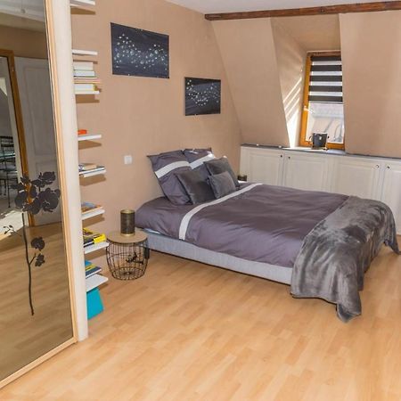 Charmant Appartement Alsacien Ribeauvillé Екстериор снимка