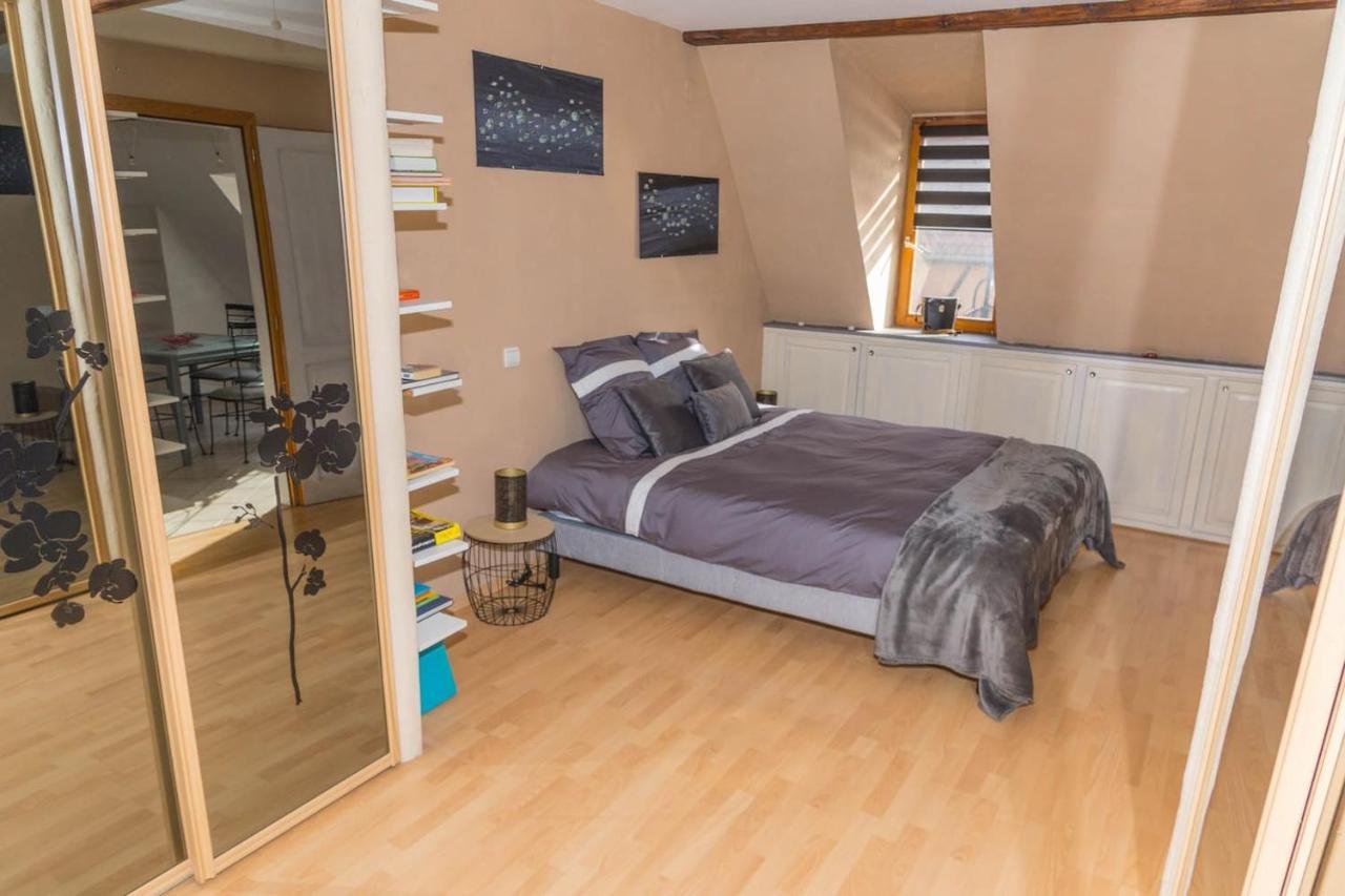 Charmant Appartement Alsacien Ribeauvillé Екстериор снимка