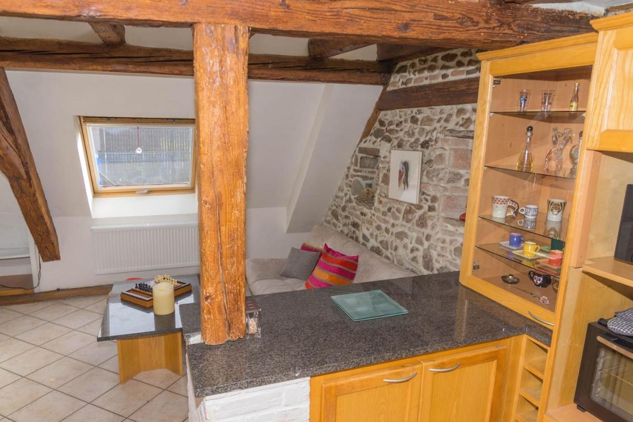 Charmant Appartement Alsacien Ribeauvillé Екстериор снимка