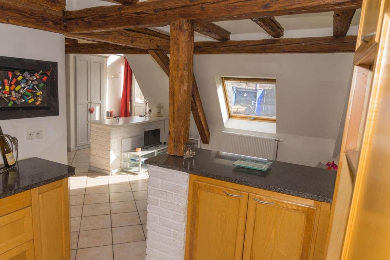 Charmant Appartement Alsacien Ribeauvillé Екстериор снимка