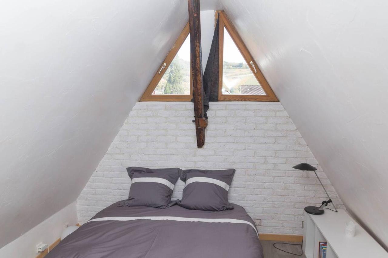 Charmant Appartement Alsacien Ribeauvillé Екстериор снимка